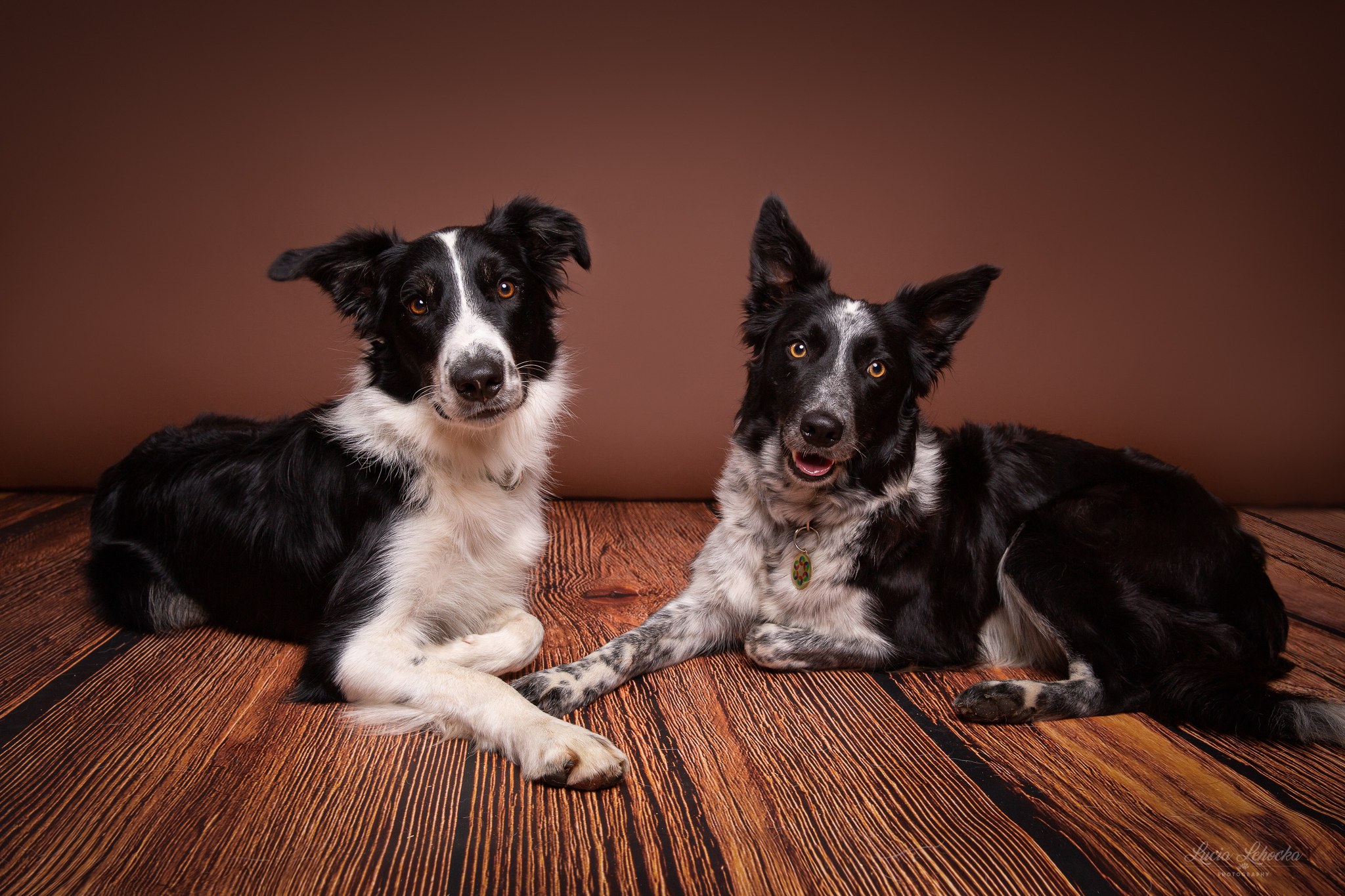 Start page image for sales-partner's sales-channel